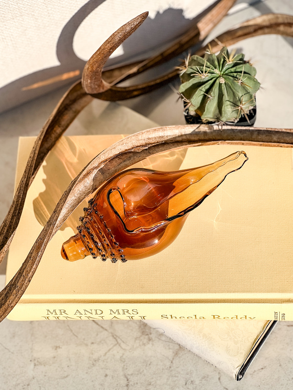 Glass Shell - Shiva Designs