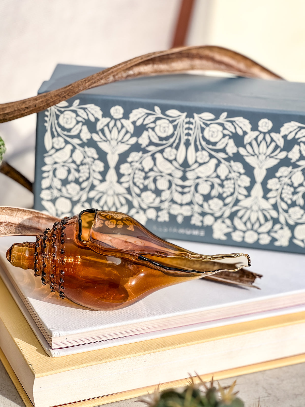 Glass Shell - Shiva Designs